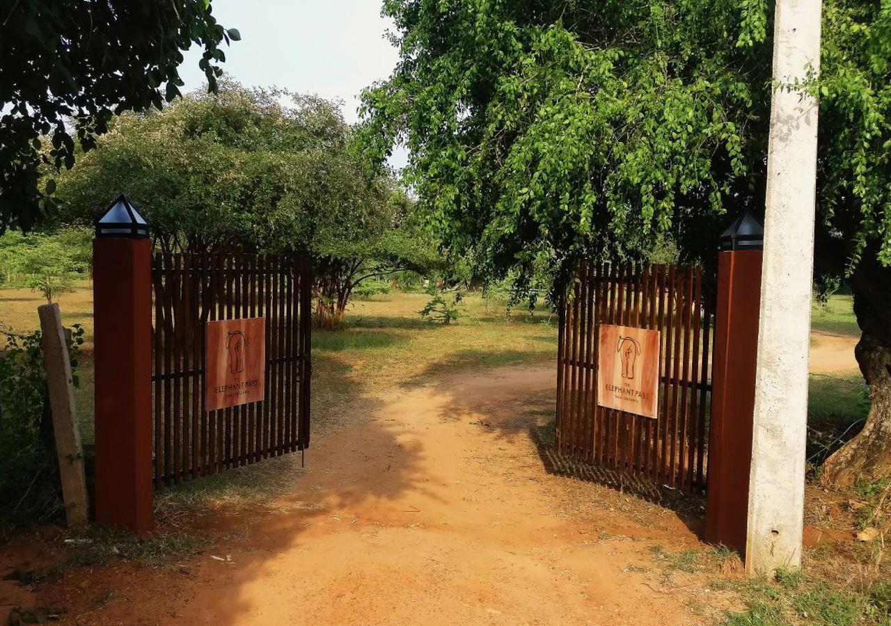The Elephant Pass - Yala Tissamaharama Zewnętrze zdjęcie